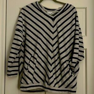 Christopher and Banks V neck sweater